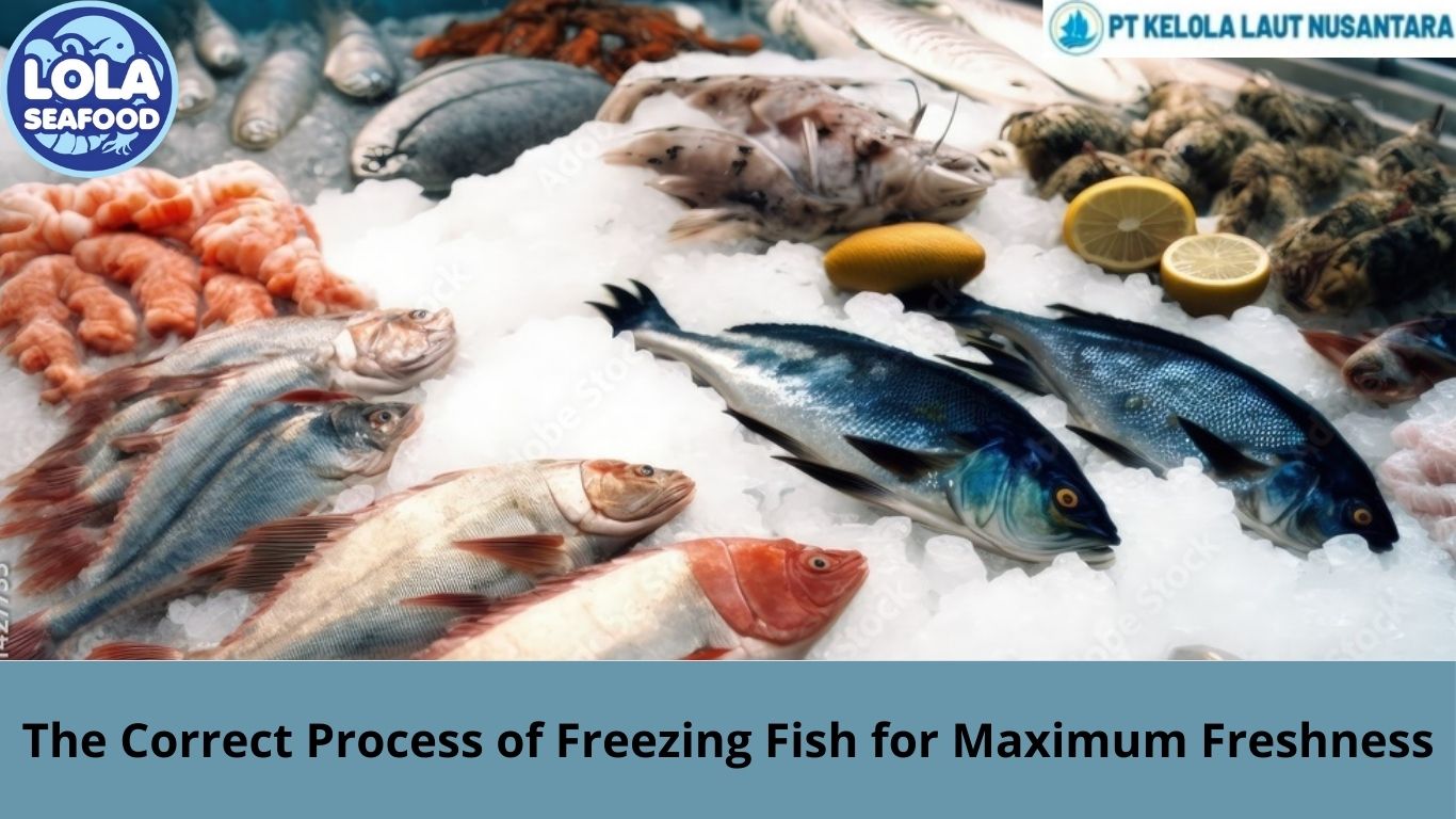 The Correct Process of Freezing Fish for Maximum Freshness